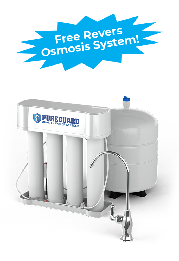 Reverse Osmosis System